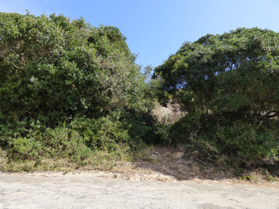 0 Bedroom Property for Sale in West Beach Eastern Cape